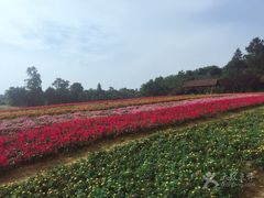 -保利石象湖景区