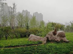 -张店儿童公园