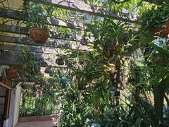 -中国科学院西双版纳热带植物园