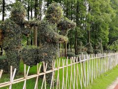 -上海长兴岛郊野公园