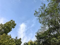 -唐城墙遗址公园