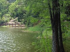 -广州市石门国家森林公园
