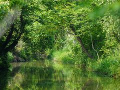 -西溪国家湿地公园