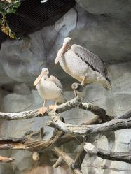 -Zoolung Zoolung动物主题公园(海信广场店)