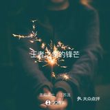 如果说旋律编曲代表着圣殿骑士团的坚毅与决心