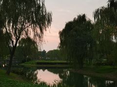 -贡湖湾湿地公园