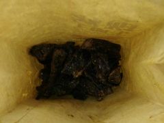 -都士牧人现烤牛肉干