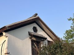 -石塘人家