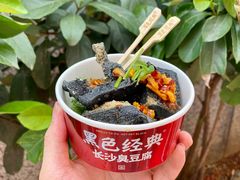 -黑色经典臭豆腐·湖南特产(步行街店)