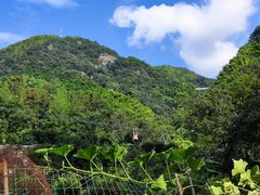 -藏龙百瀑风景区