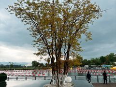 -云里小坐·海泉湾·团建·宴席·下午茶(金堂海泉湾店)