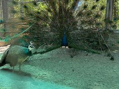 -北京市海淀外国语实验学校