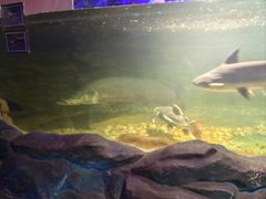 -无锡海洋馆