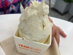 -野人先生现做冰淇淋(北京环宇荟店)