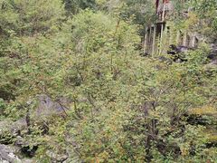 -叠溪松坪沟景区