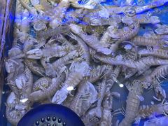 -澜悦港海鲜体验主题餐厅