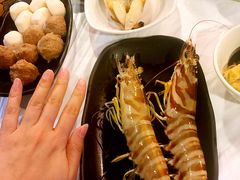 -鲜入围煮花胶鸡海鲜火锅