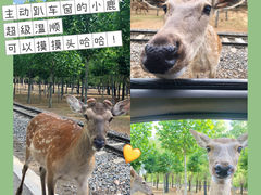 -秦皇岛野生动物园
