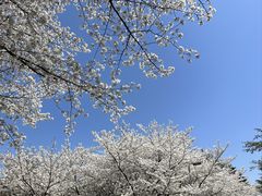 -白塘生态植物园