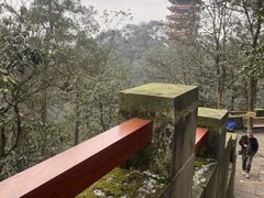 -缙云山景区
