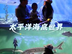 -太平洋海底世界