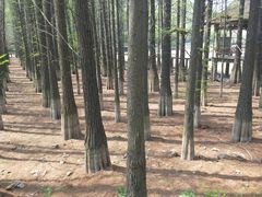 -采石矶景区