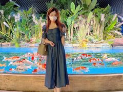 -南京金牛湖风景区