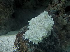 -苏州海洋馆