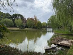 -上海鲜花港