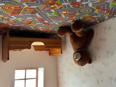 -金山农民画村-枫泾波兰倒置屋