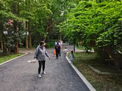 -东平国家森林公园