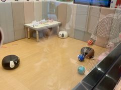 -海底捞火锅(芜湖银泰城店)