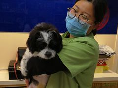 -芭比堂动物医院·犬猫全科·异宠专科(雁塔分院)