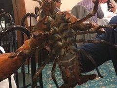 -陆羽海鲜酒家