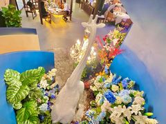 景观位-狮拾久·现代新加坡料理(福田COCO Park店)