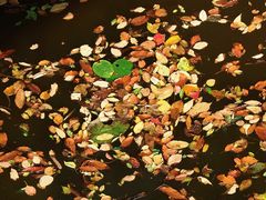 -敬亭山风景名胜区