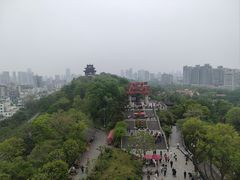 -武汉大学-樱园