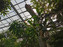 -呀路古热带植物园