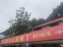-彭大姐老店黄辣丁(新津店)
