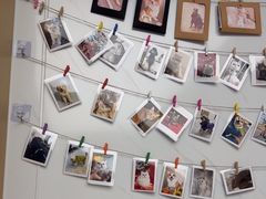 -瑞派康怡24h宠物医院·犬猫医疗中心·微创绝育(瑞景分院)