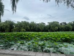 -北陵公园