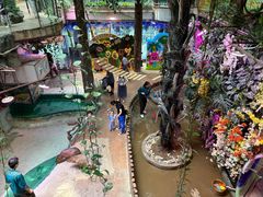 -正佳雨林生态植物园
