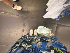 -世界之窗阿尔卑斯冰雪世界