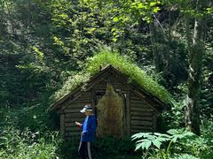 -峡谷浮石林景区