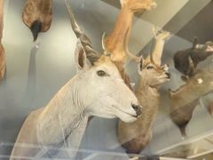 -陕西自然博物馆