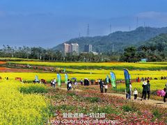 -光明小镇欢乐田园