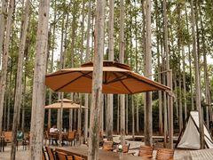 -桉树林A coffee 森林餐厅(三圣乡店)