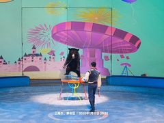 -上海马戏城