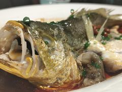 -维园悦谱·海派家常菜(乌鲁木齐南路店)