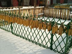 -采薇庄园四季滑雪场